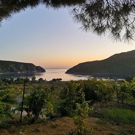 Porto Koufo Resort Bungalows Экстерьер фото